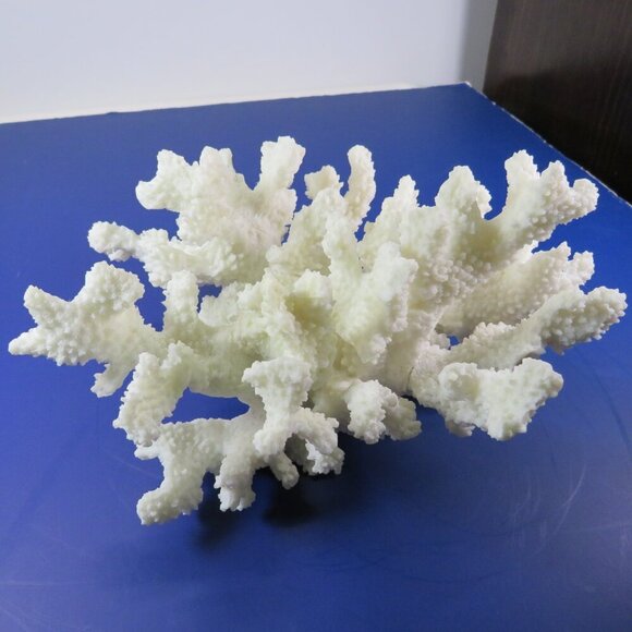 Faux Coral (very realistic) White 5" tall 9x7" wide over 1lb has a repaired arm - Picture 3 of 12